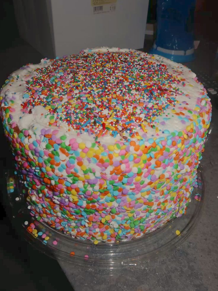 8. So, Will Dot Cakes Become Big in Seoul? photo 2