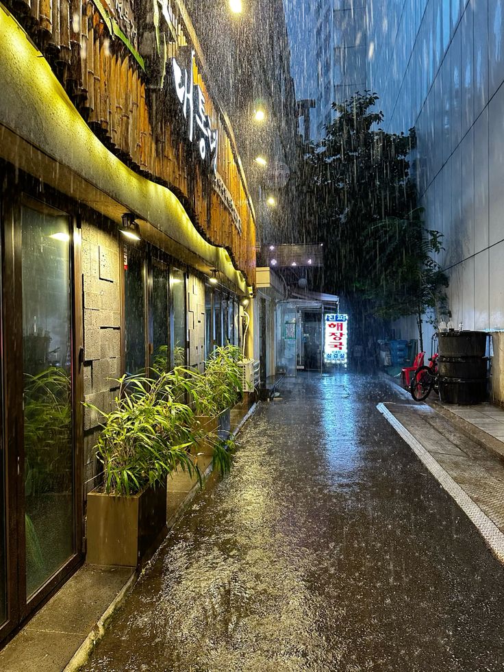 1. When Is Korea's Rainy Season? photo 1