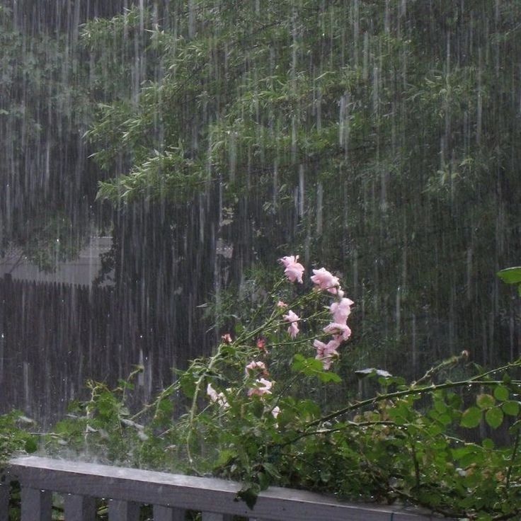 1. When Is Korea's Rainy Season? photo 2