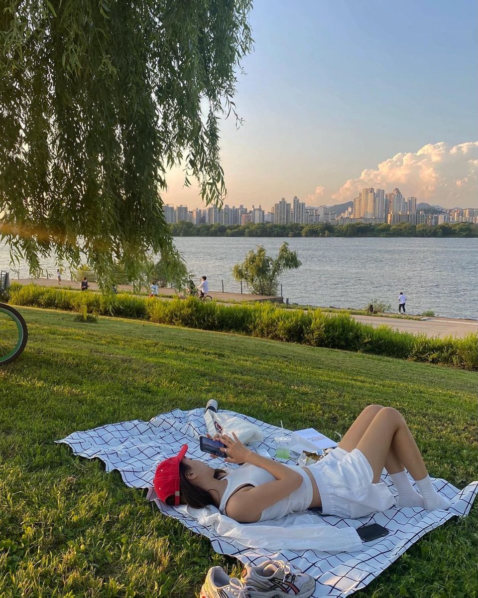 1. Why Han River Picnics Are So Popular in Seoul photo 1