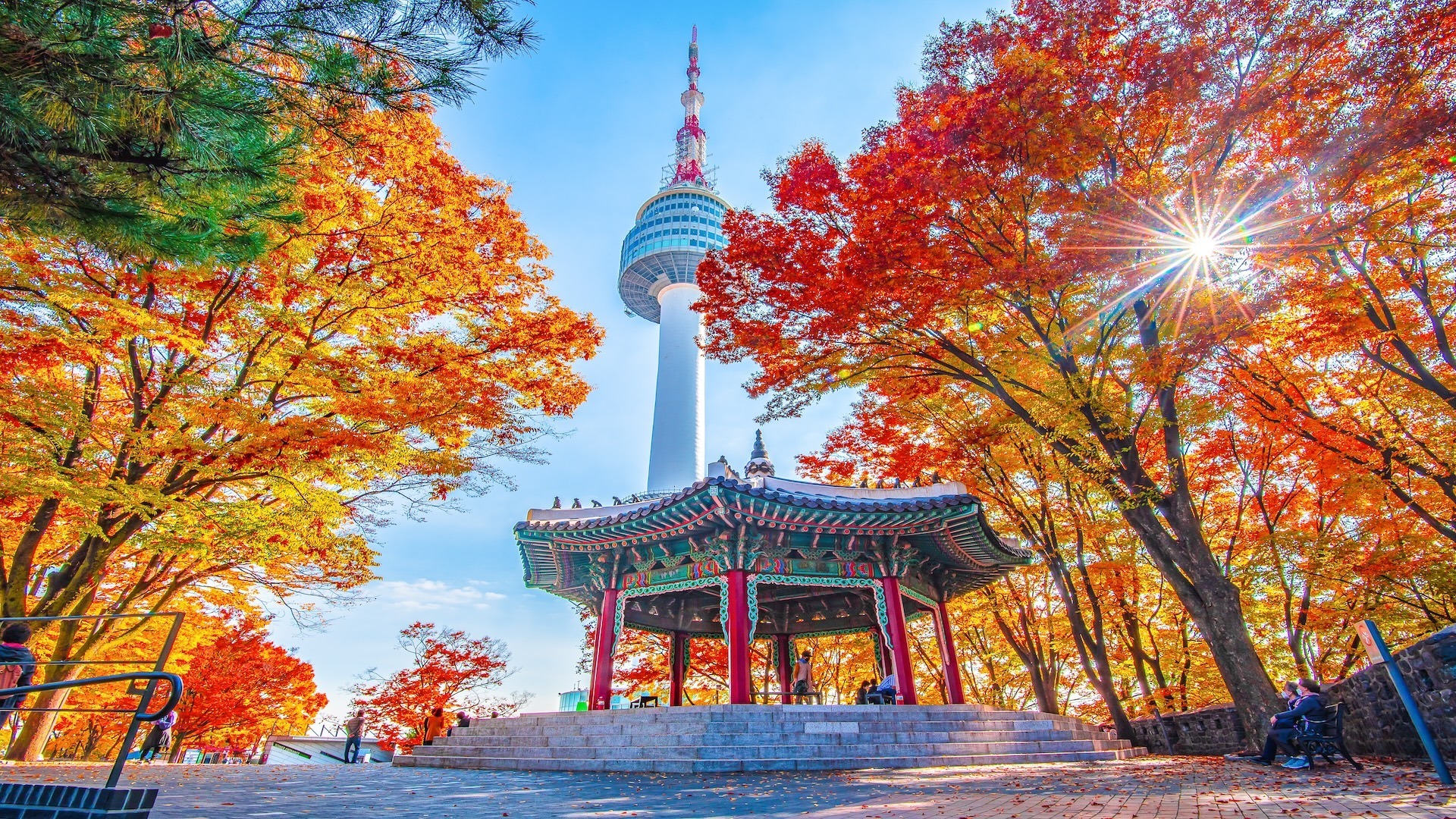 Free things to do in Seoul travel guide