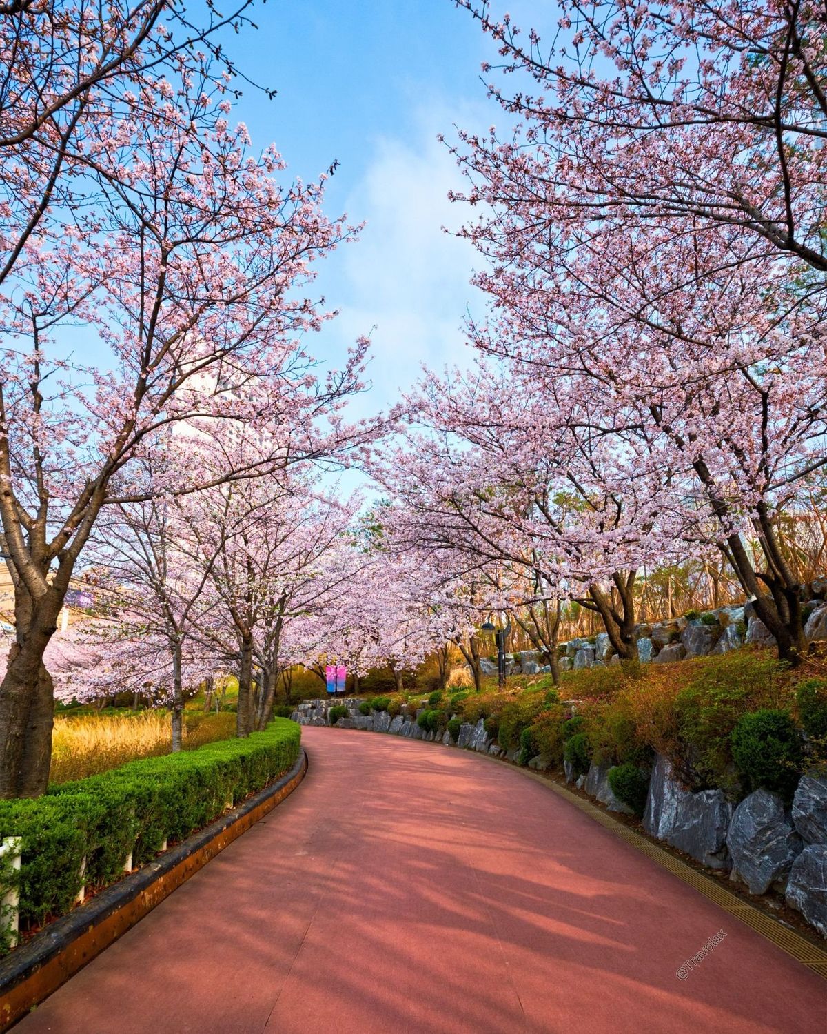 11. Seokchon Lake photo 2