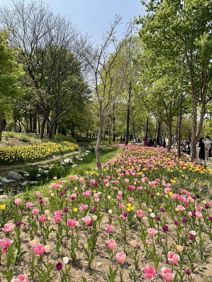 10. Seoul Forest photo 1