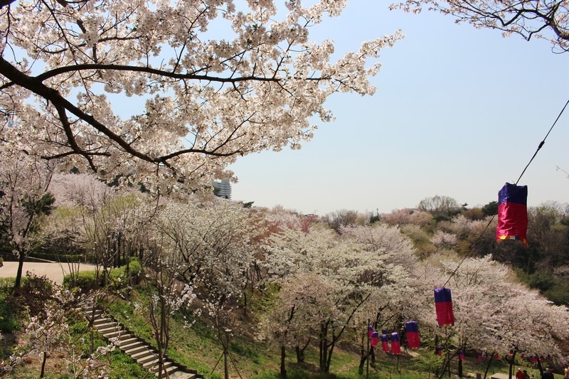 20. Ansan Jarak-gil Trail photo 1