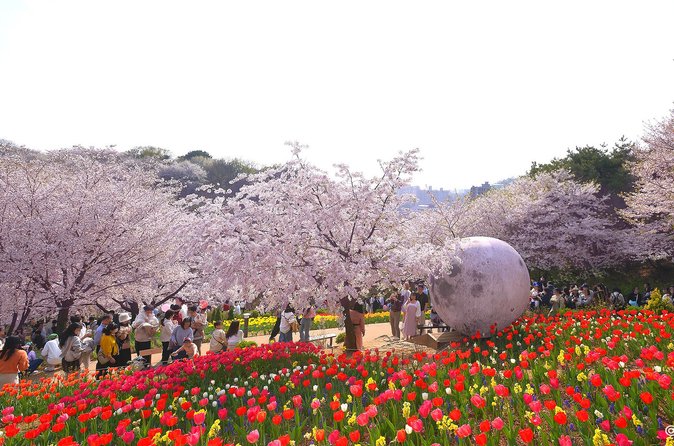 20. Ansan Jarak-gil Trail photo 2