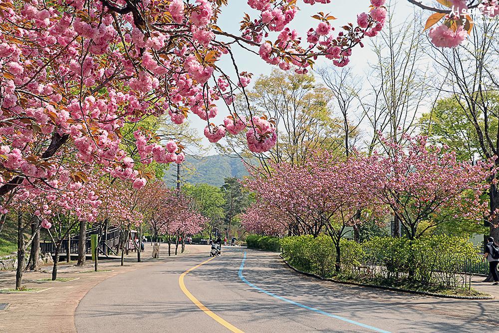 13. Children's Grand Park photo 1