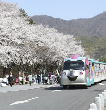 13. Children's Grand Park photo 2