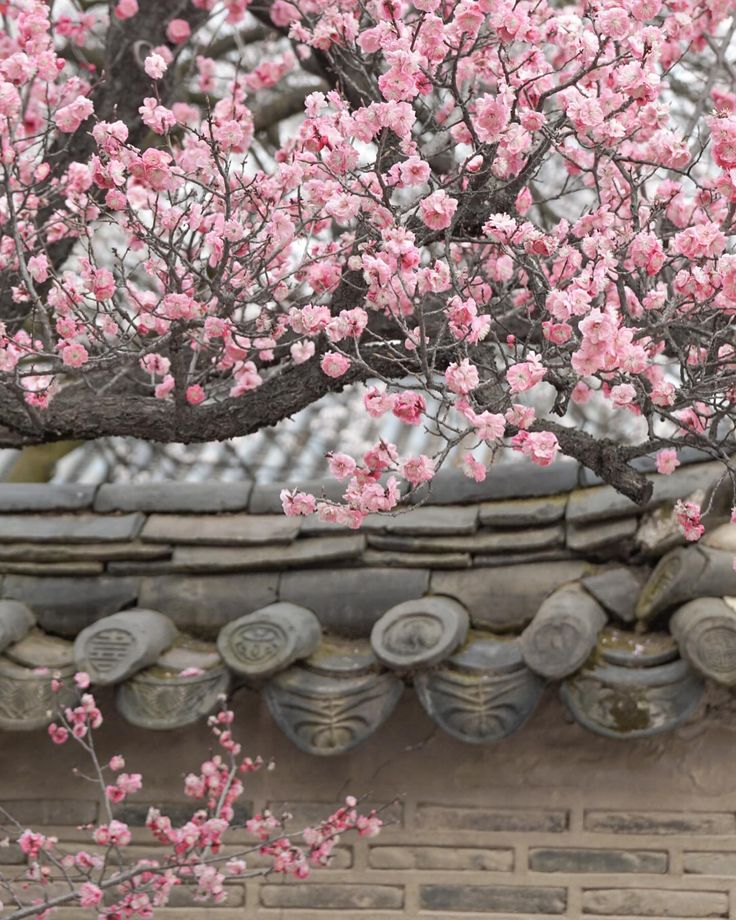5. Gyeongbokgung Palace Area photo 1