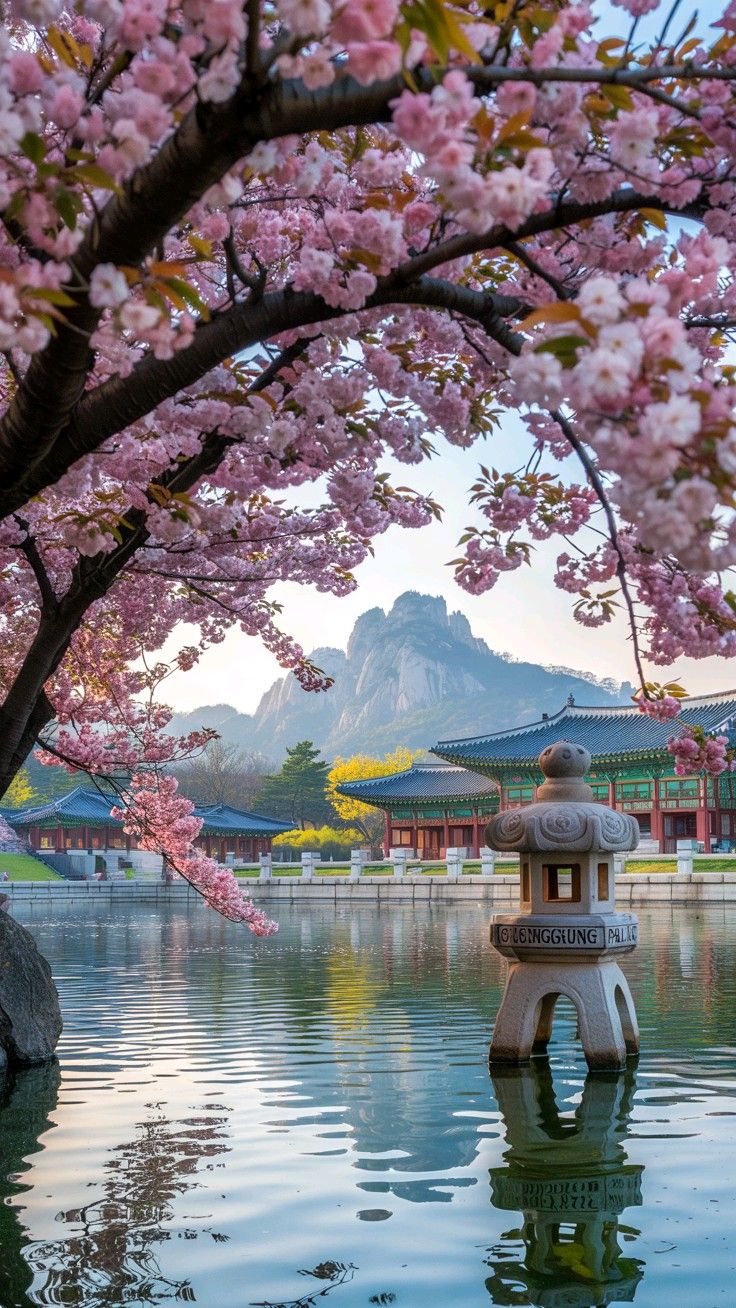 5. Gyeongbokgung Palace Area photo 2