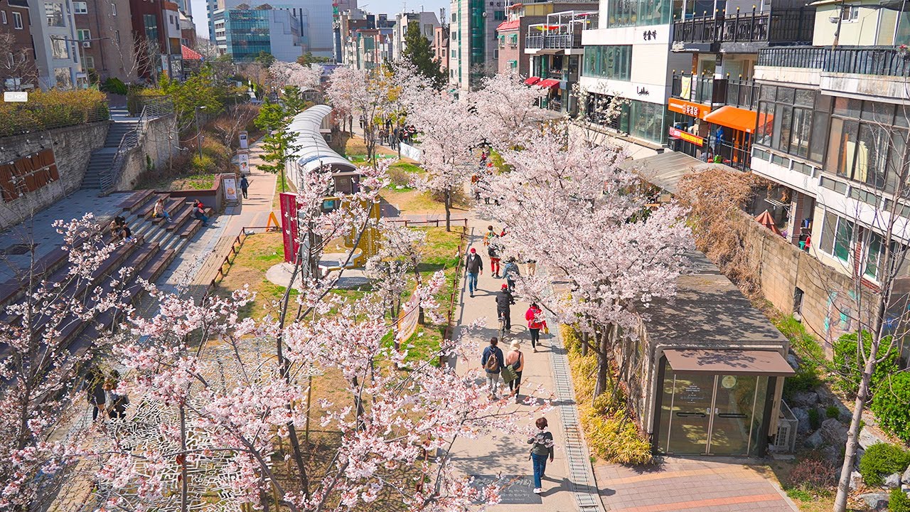 16. Gyeongui Line Forest Park photo 1