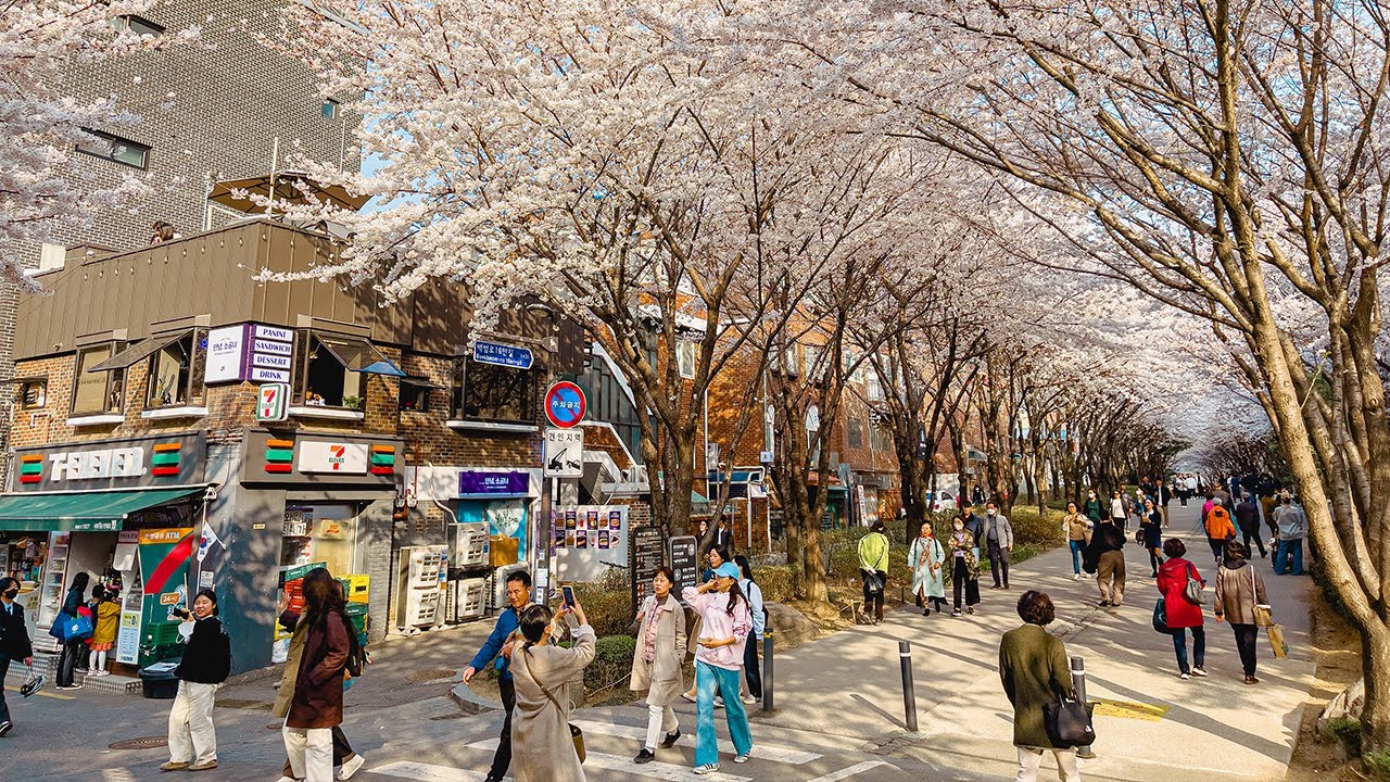 16. Gyeongui Line Forest Park photo 2