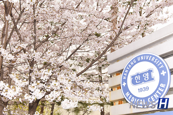 12. Hanyang University photo 1
