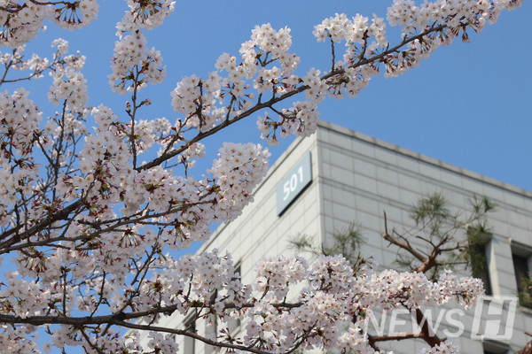 12. Hanyang University photo 2