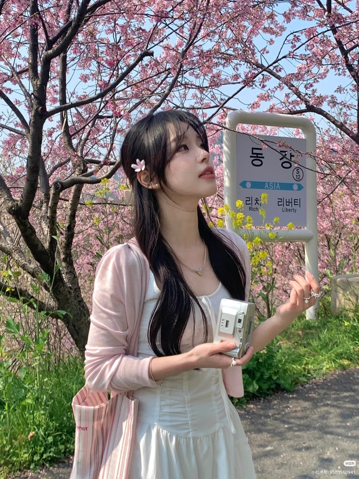 23 Best Cherry Blossom Spots in Seoul: Parks, Hidden Gems, and Photo Locations