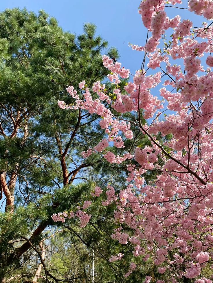 10. Naksan Park photo 1