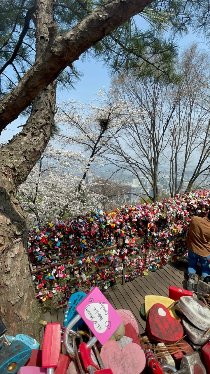4. Namsan Park photo 1