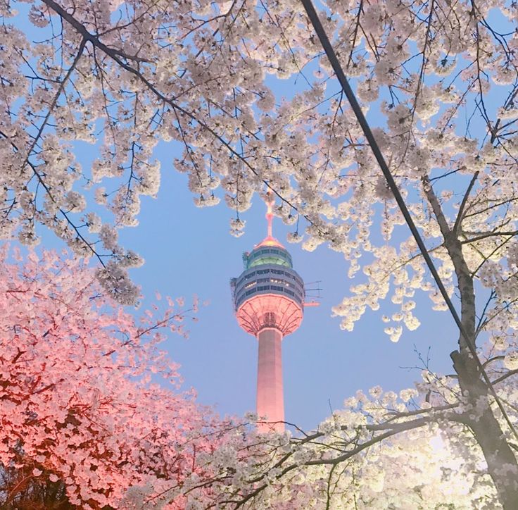 4. Namsan Park photo 2