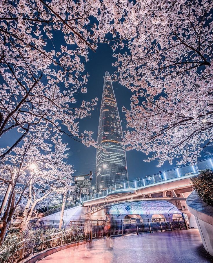 2. Seokchon Lake photo 2