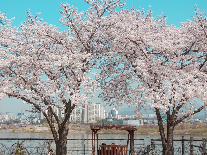 8. Seonyudo Park photo 1