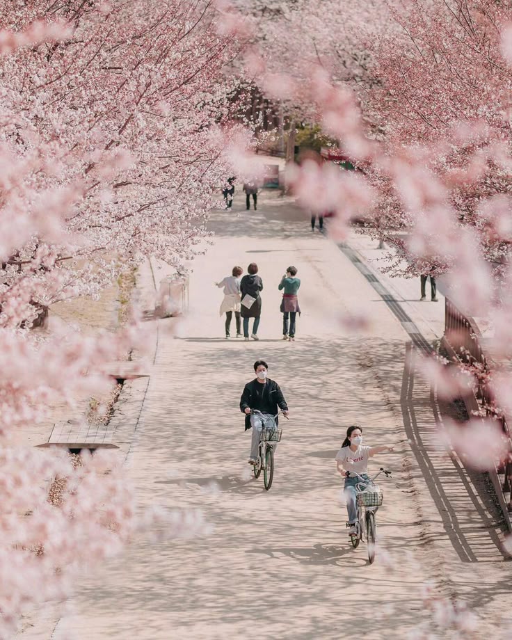 3. Seoul Forest photo 1