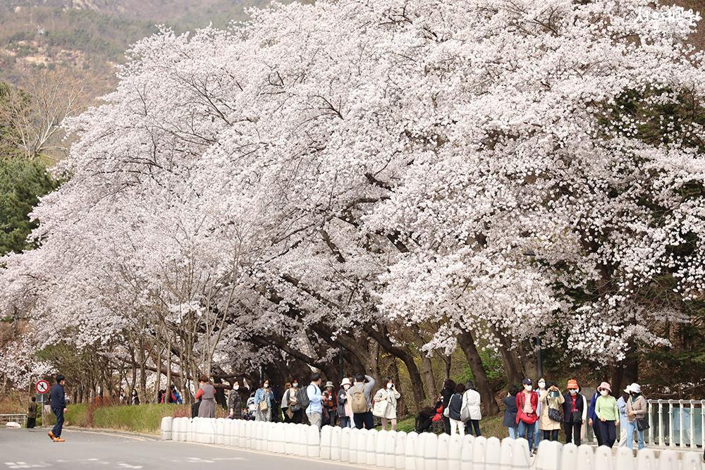 22. Seoul Grand Park photo 1