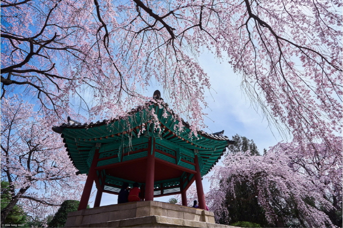 15. Seoul National Cemetery photo 1