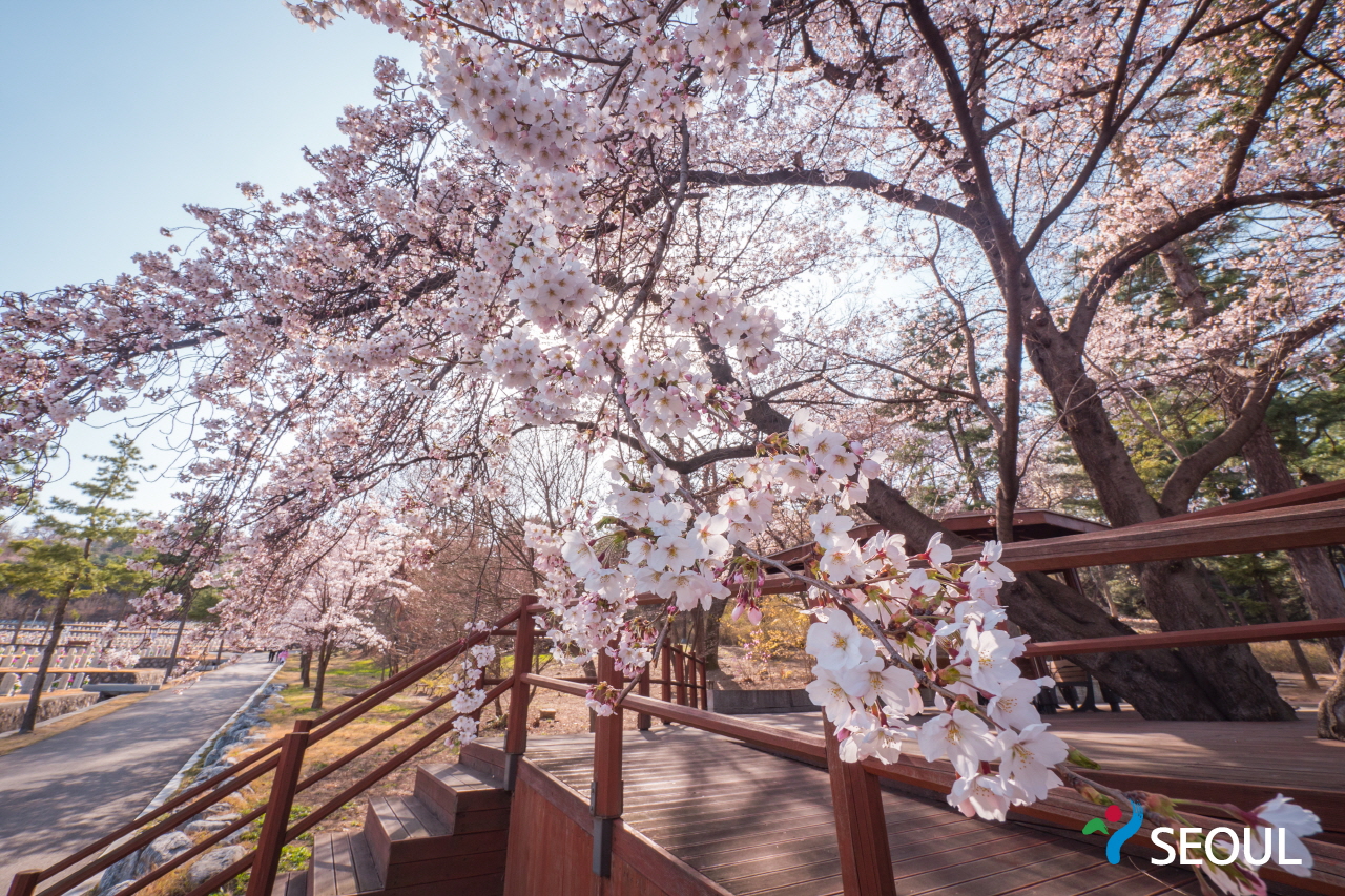 15. Seoul National Cemetery photo 2