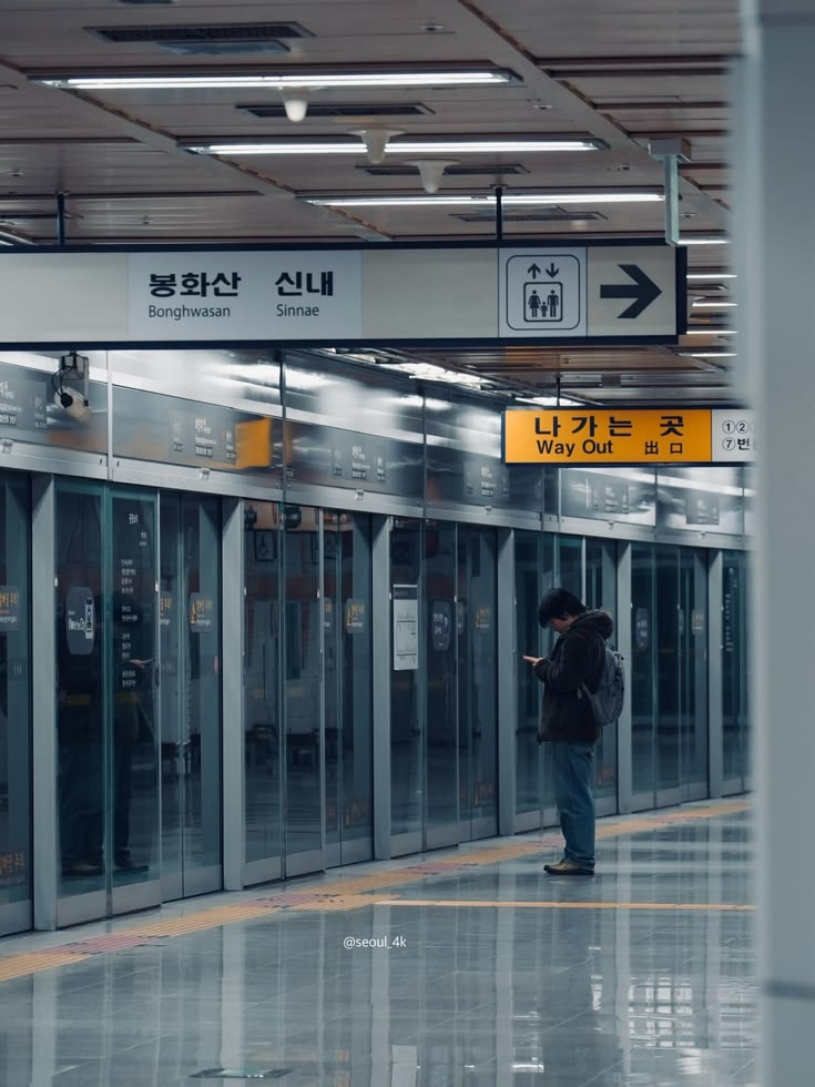 11. Common Seoul Subway Mistakes to Avoid photo 2