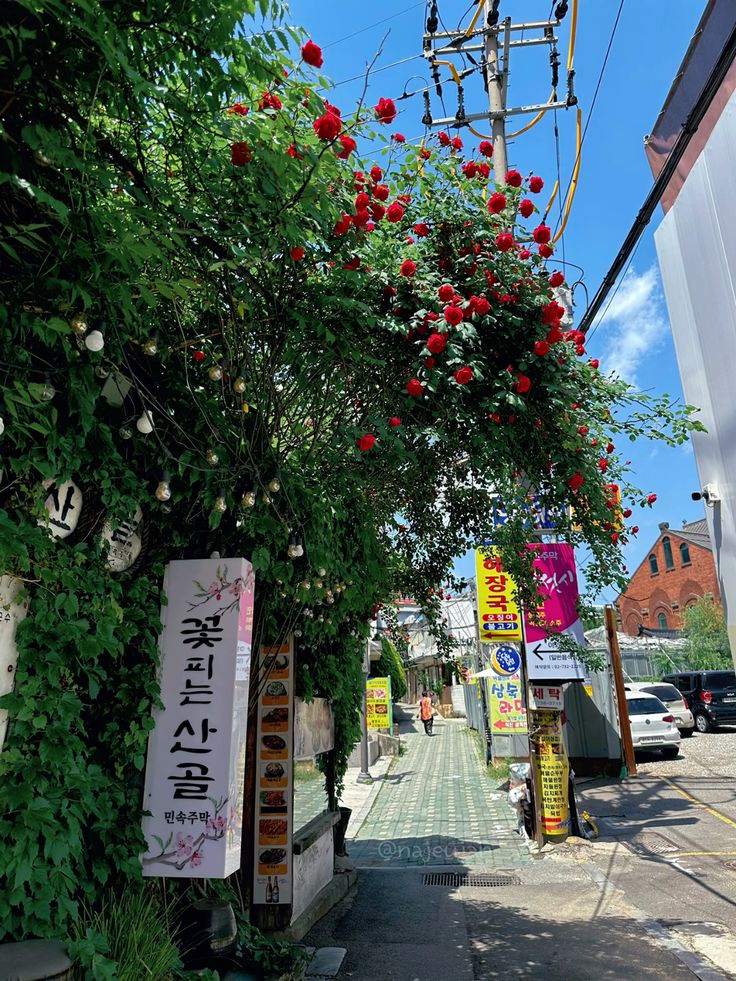 8. August in Seoul photo 1