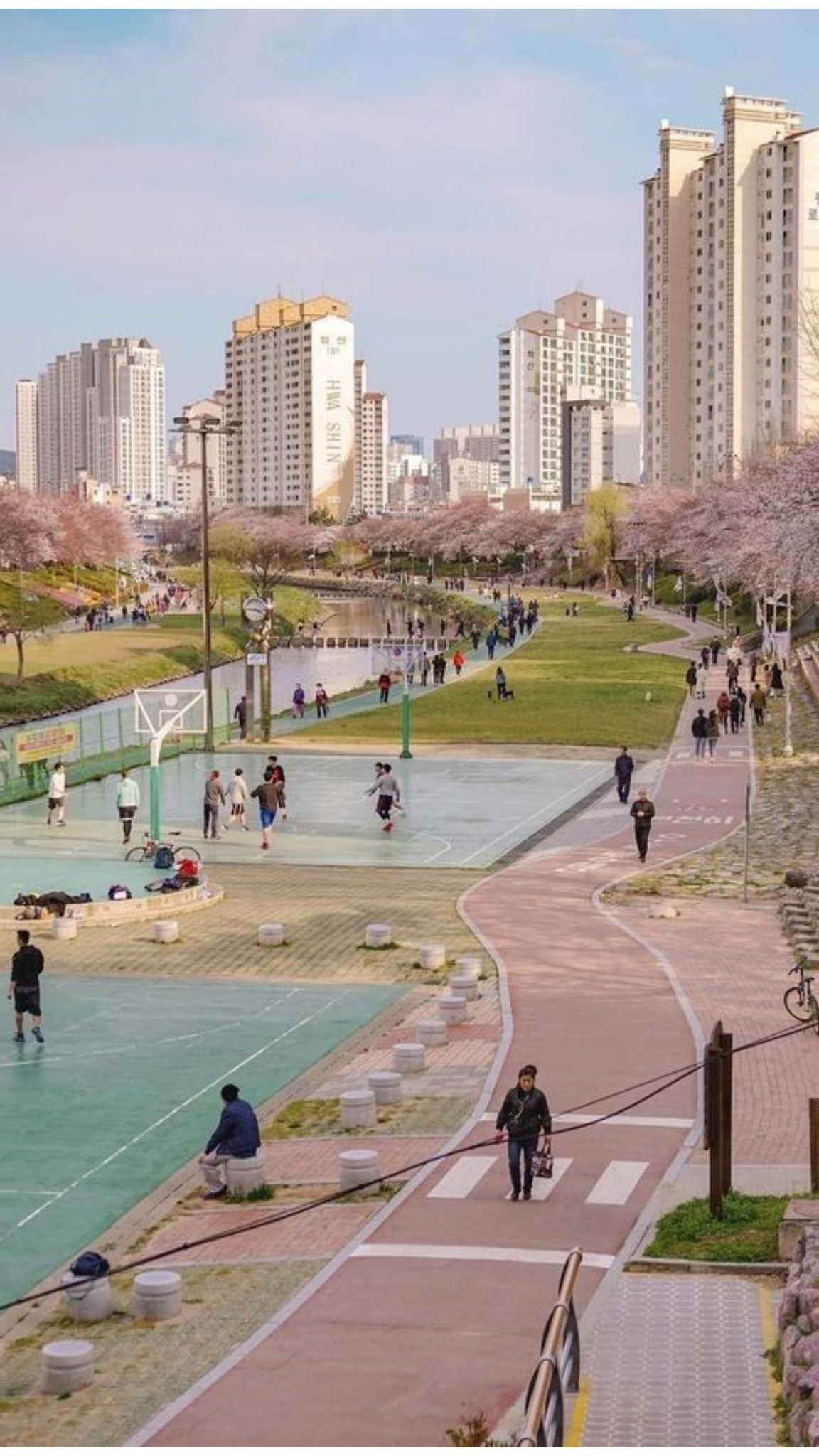 3. March in Seoul photo 2