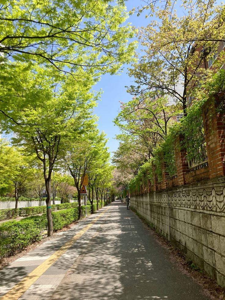 5. May in Seoul photo 1