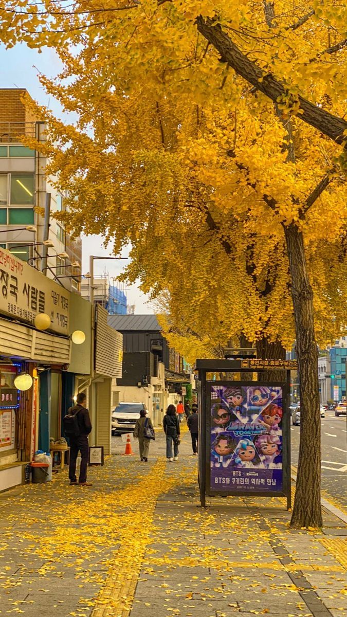 11. November in Seoul photo 2