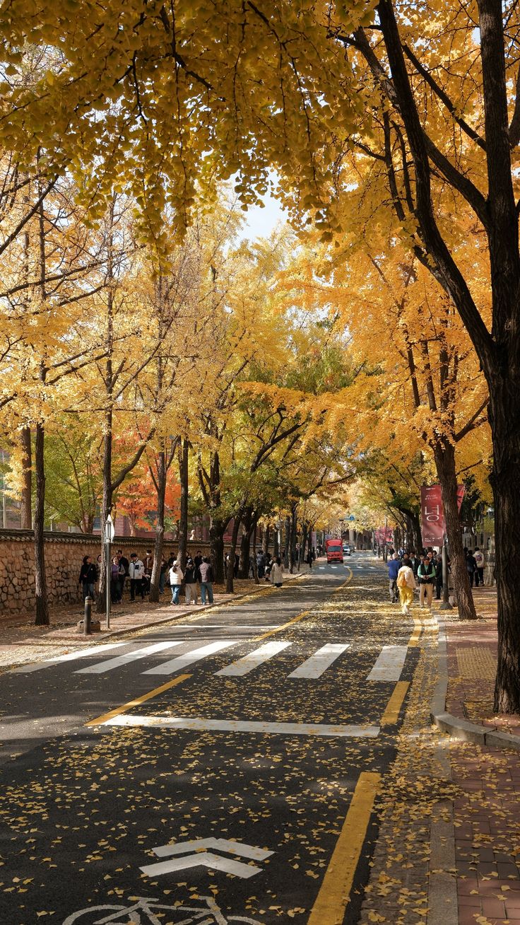 9. September in Seoul photo 1