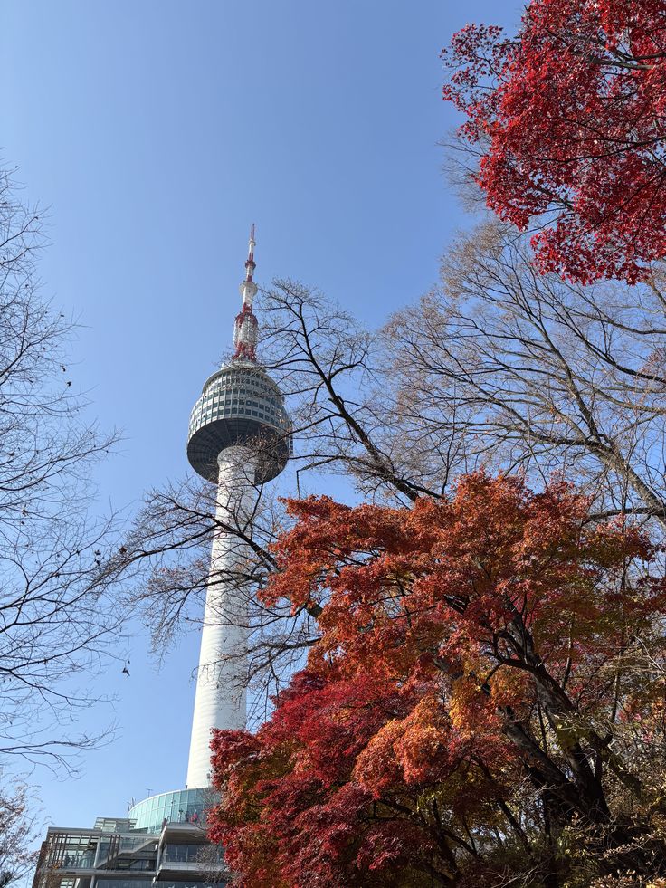 9. September in Seoul photo 2