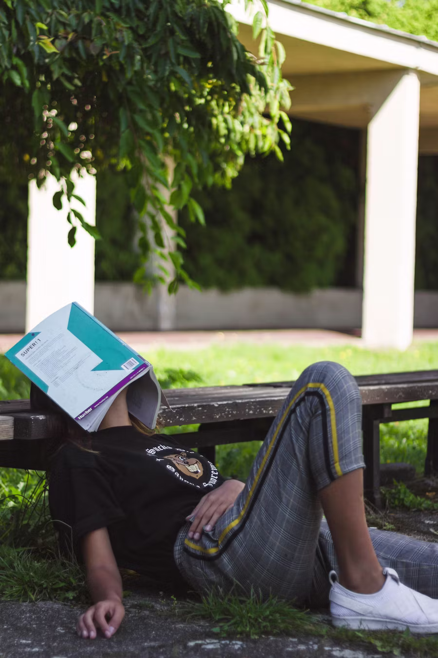 4. Why Dopamine Sites Feel So Comforting