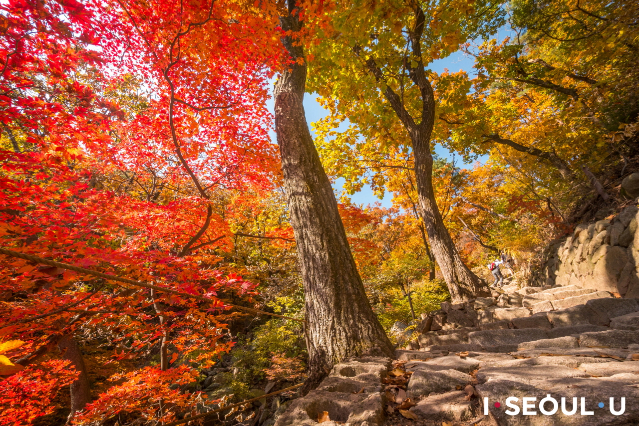 7. Hike Bukhansan When the Weather Finally Feels Made for It