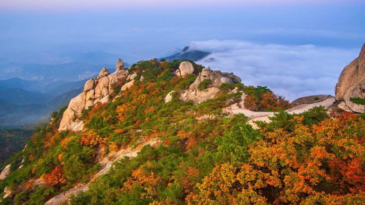 Seoul cityscape surrounded by colorful red and yellow autumn foliage