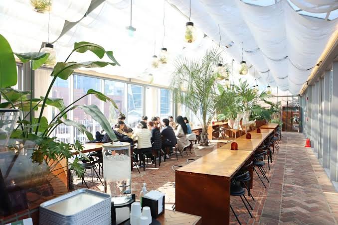 11. Mix Seoul Forest Foliage With a Seongsu Café Day