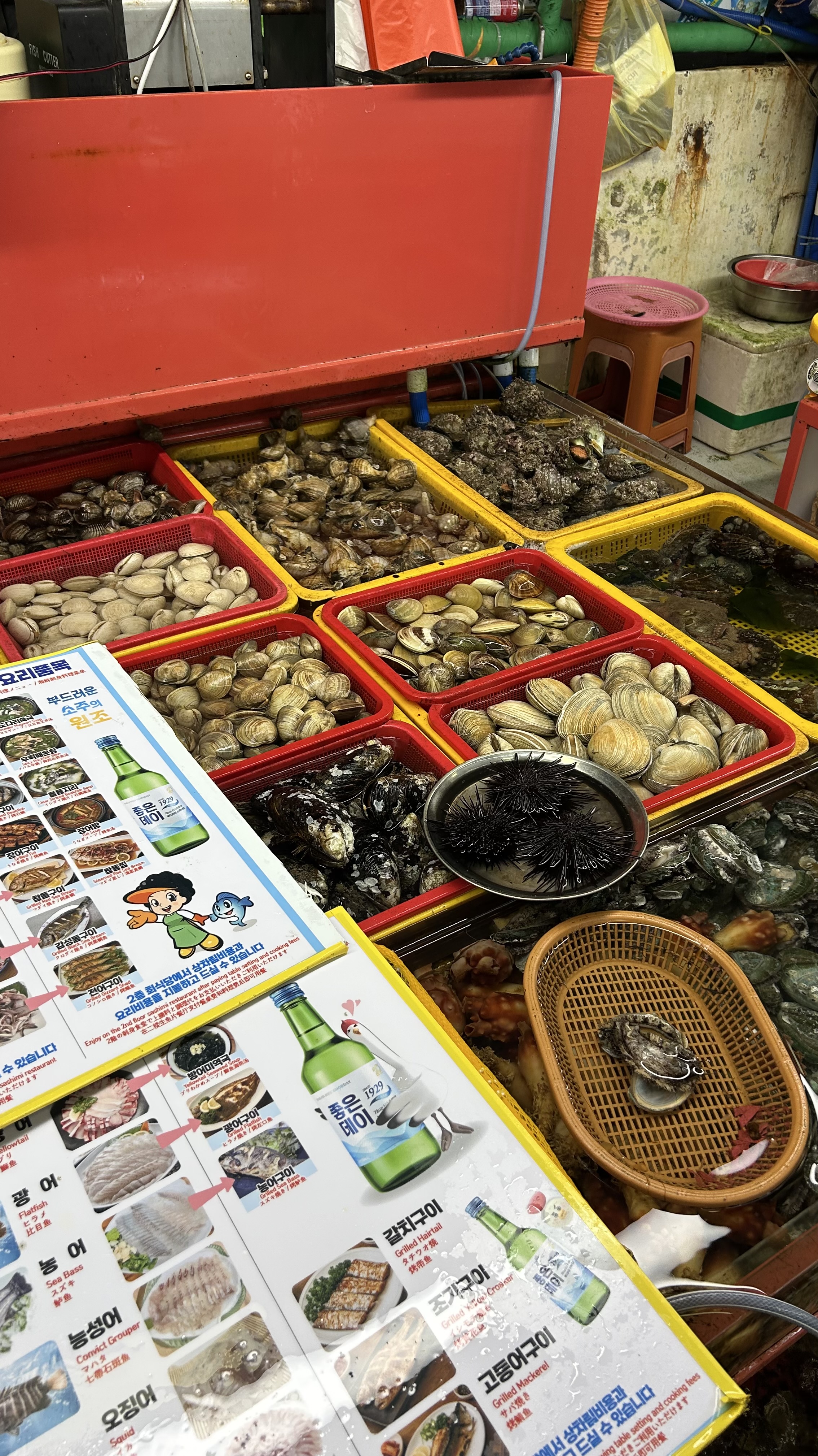 Sea urchin displayed at a seafood vendor stall inside Jagalchi Market Busan