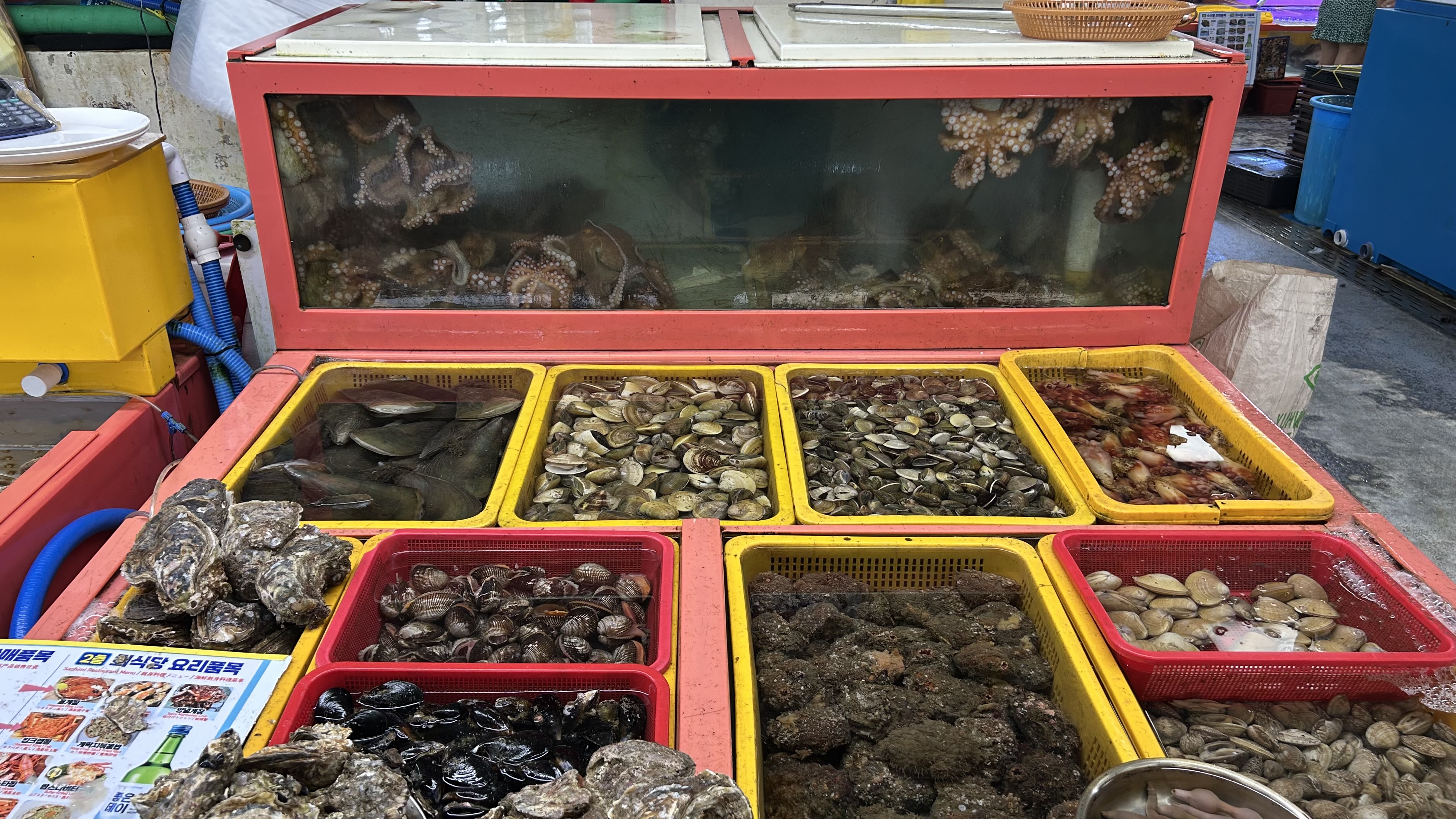 Rows of seafood vendors and live seafood tanks inside Jagalchi Market in Busan