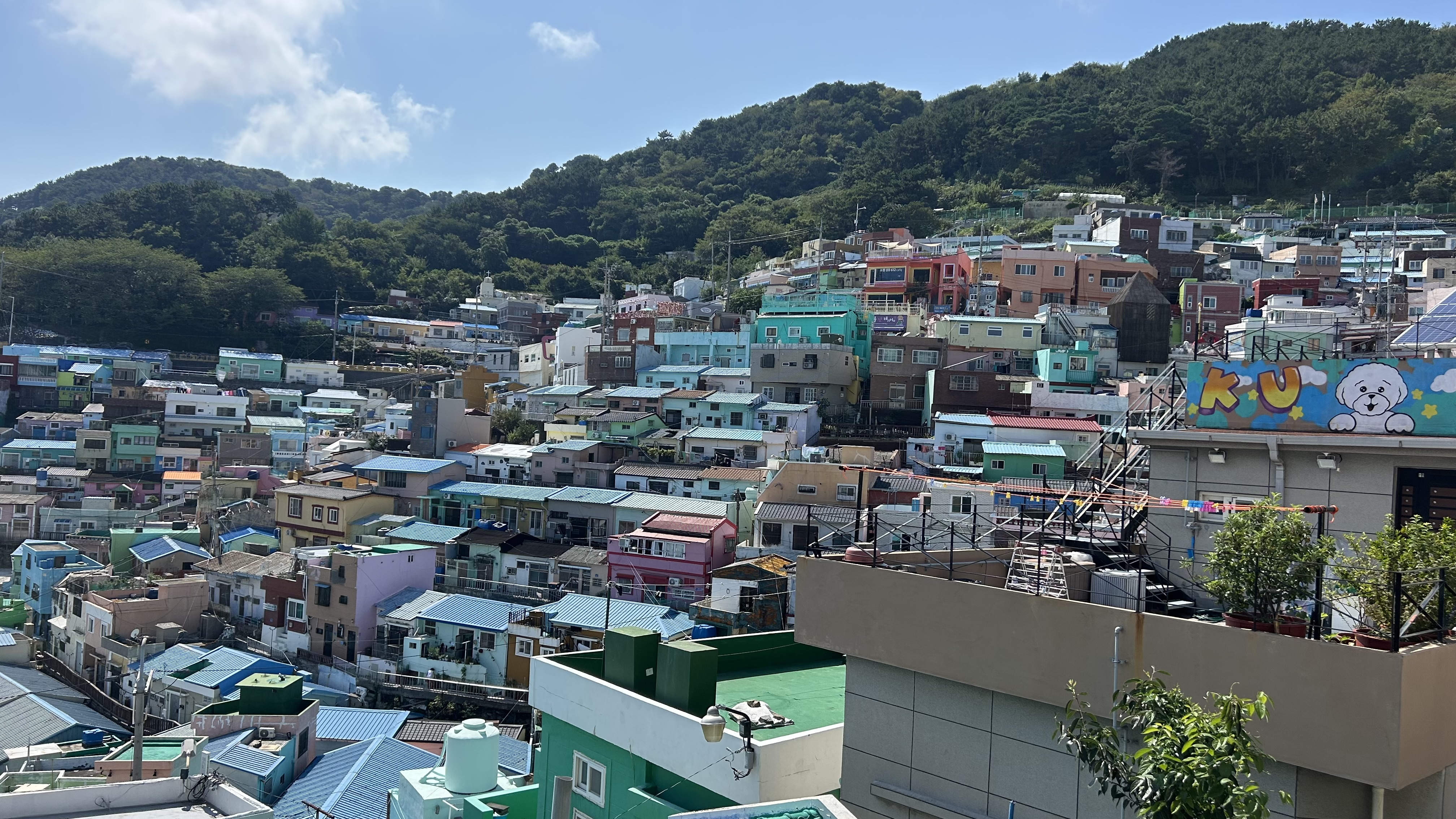 Gamcheon Culture Village & DUF Coffee: My Very Tiring, Very Weird Busan Day