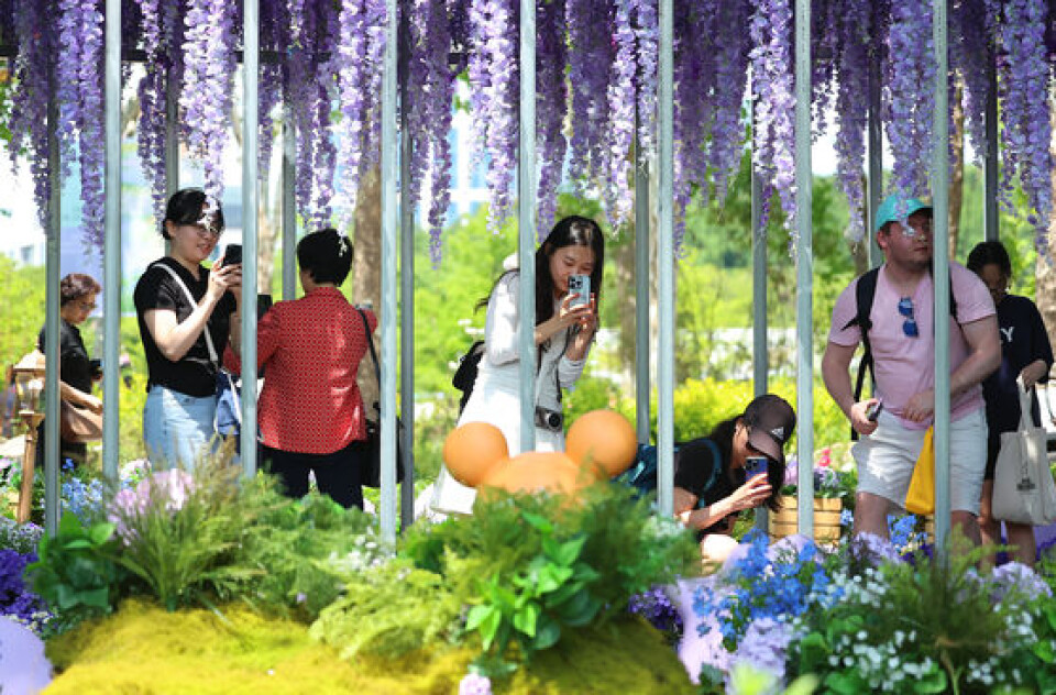 4. Catch the Seoul International Garden Show Before It Ends