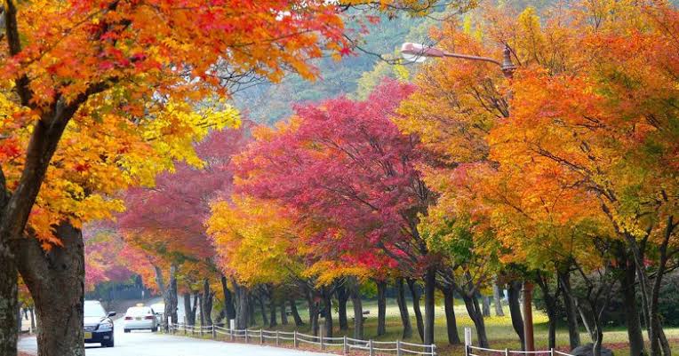 12. How to Plan the Rest of Your October in Seoul