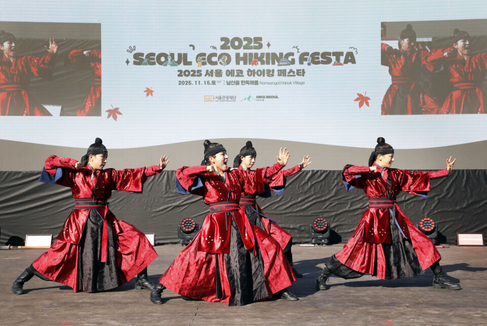 The Best Autumn Festivals in Seoul 2026: Dates, Locations & What They're Actually Like