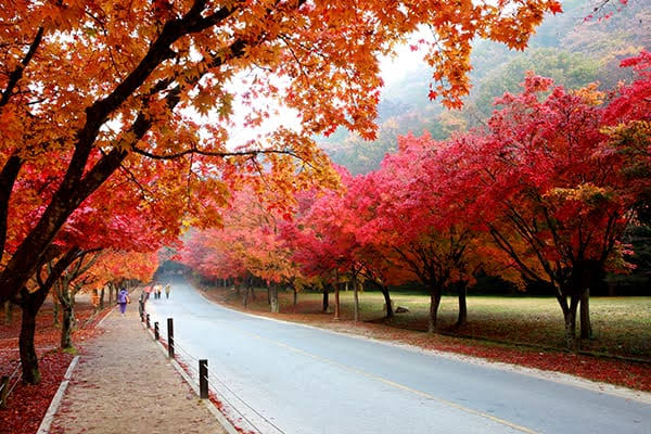 12. Bukhansan National Park