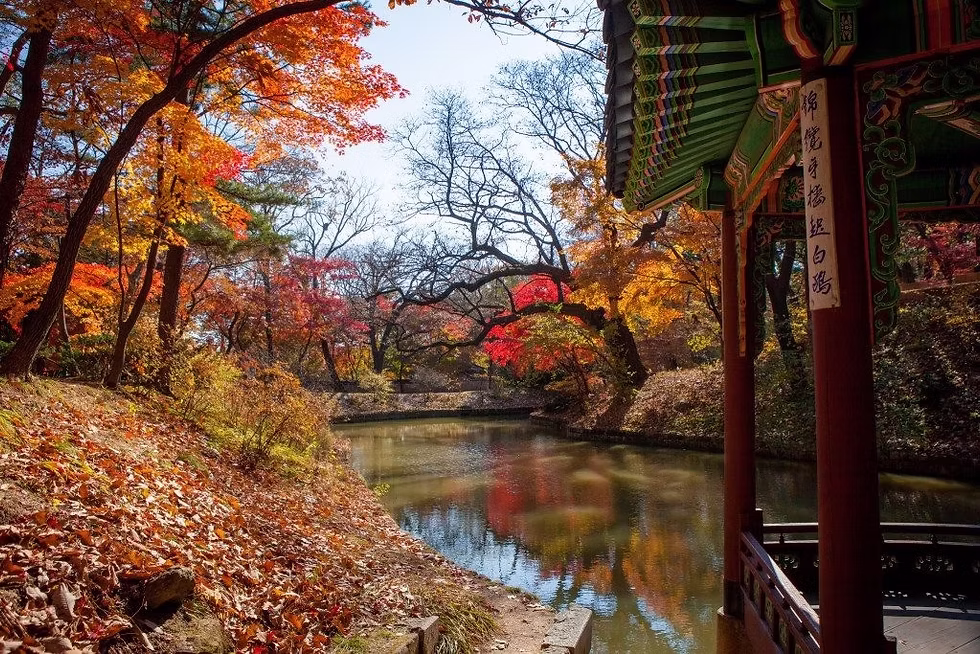 5. Changdeokgung Palace & Secret Garden