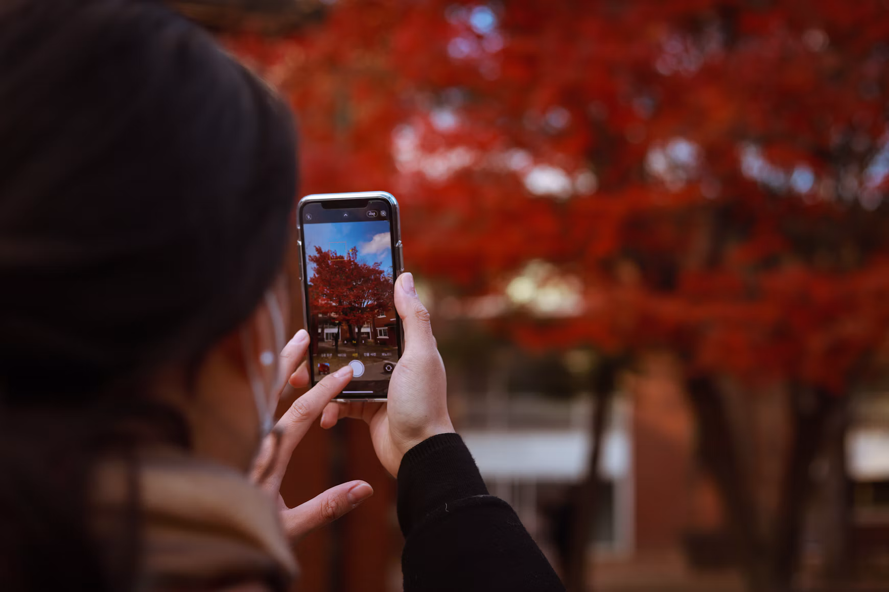 Where to See Autumn Leaves in Seoul: 12 Beautiful Fall Foliage Spots