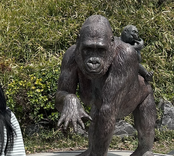 16. Tigers, Malaysian Sun Bears, Orangutans, and More