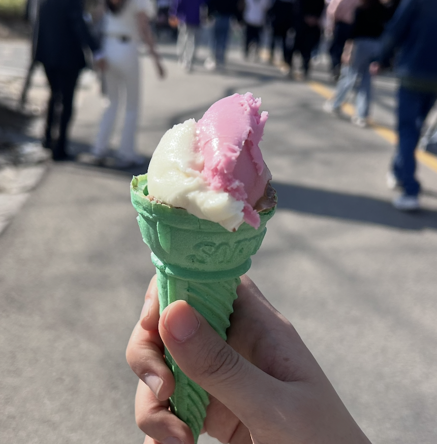 21. Turkish Ice Cream at Everland