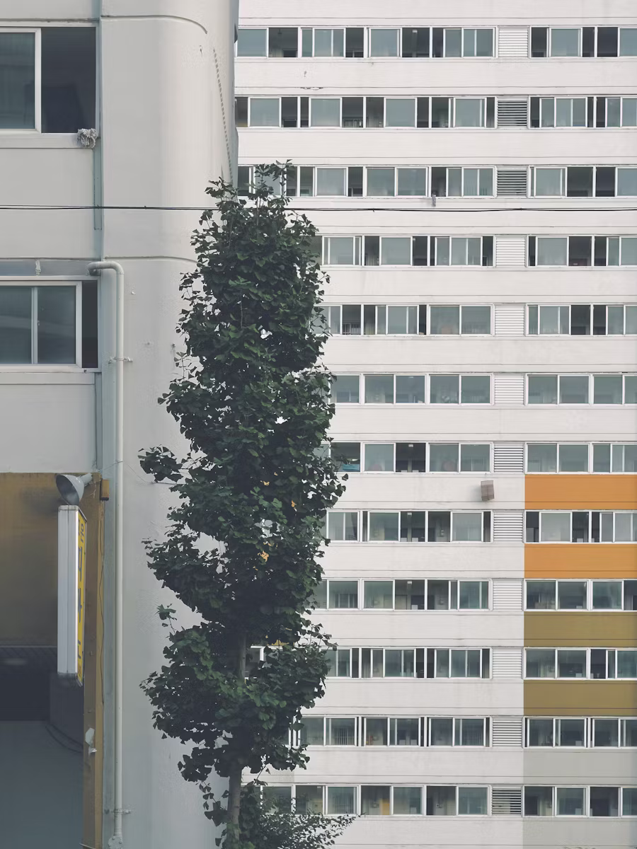 8. Why Apartment Complexes Can Be the Loudest Places